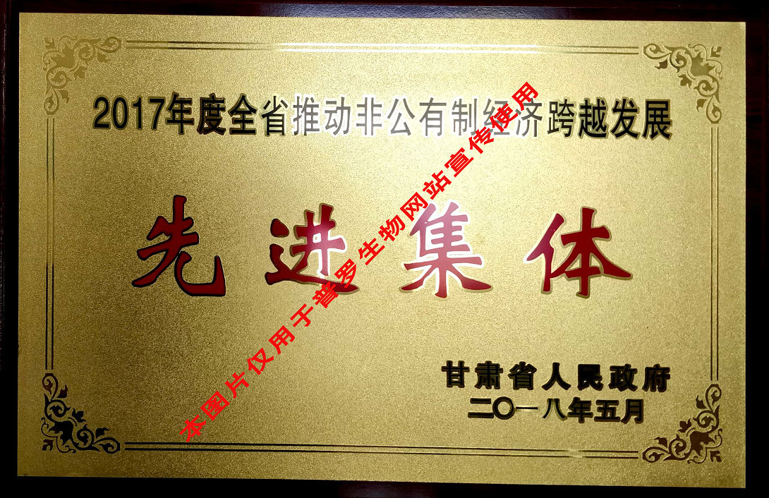 推動(dòng)非公有制經(jīng)濟(jì)先進(jìn)集體