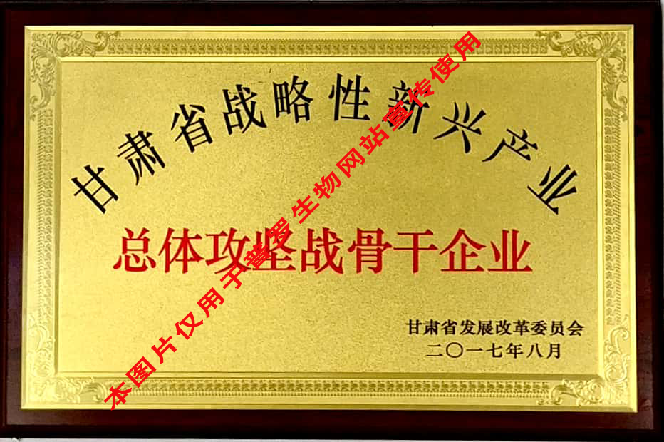 甘肅省總體攻堅(jiān)戰(zhàn)骨干企業(yè)