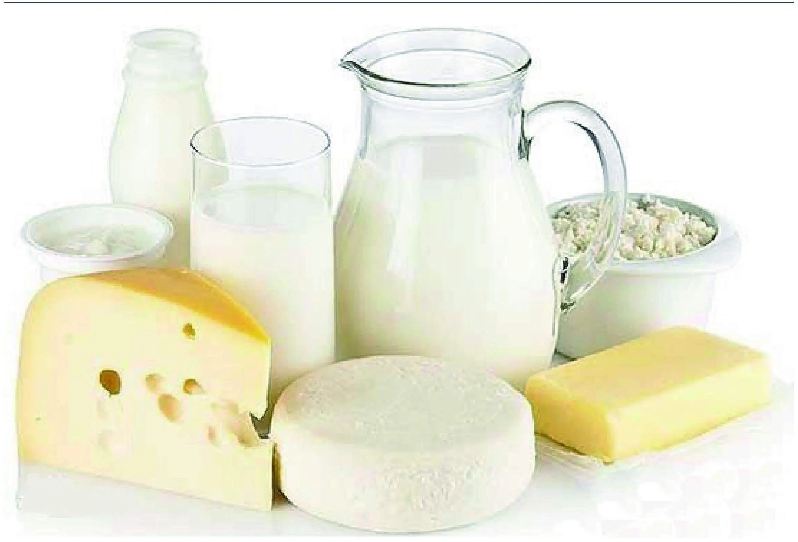 乳制品常見質(zhì)量問題